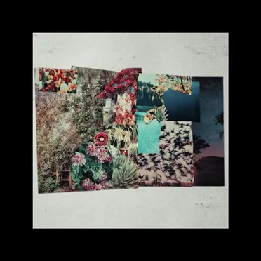 Patchwork Doorstop Paranoia Daydream by Chonny Jash - album cover
