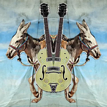 Stereo Donkey by Stereo Donkey - album cover