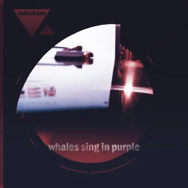 whales sing in purple