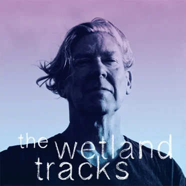The Wetland Tracks by Tony Richards - album cover