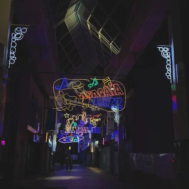 Enchanted Night