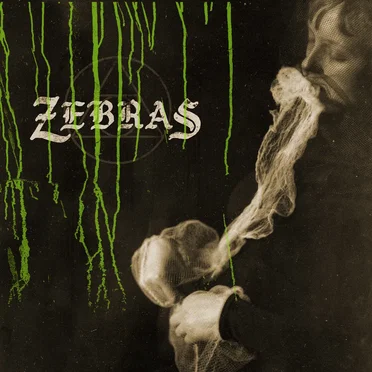 Zebras by Zebras - album cover