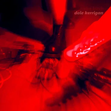 noise bitch by Dale Kerrigan - album cover