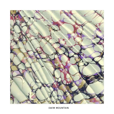 Swim Mountain by Swim Mountain - album cover