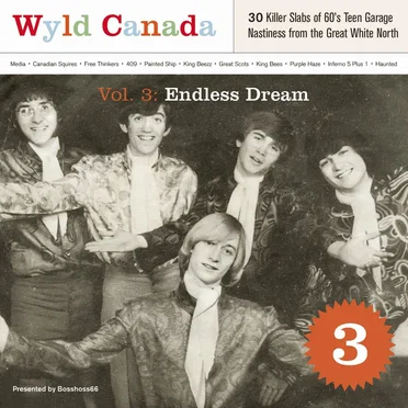 Wyld Canada, Vol. 3: Endless Dream by Various Artists - album cover