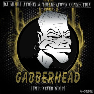Jump, Never Stop by DJ Ad - album cover