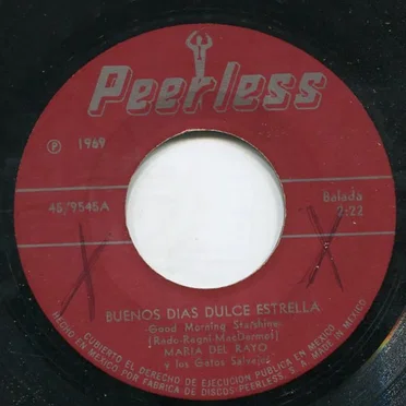 Buenos días dulce estrella / La lluvia by María del Rayo y Los Gatos Salvajes - album cover