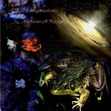 Chrono Trigger Arrangements by Rebecca Tripp - album cover