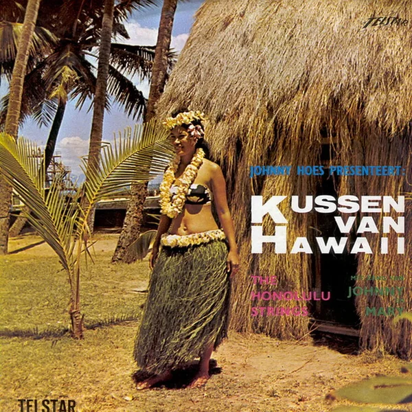 Kussen van Hawaii