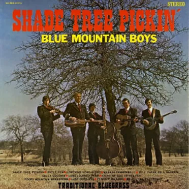 Blue Mountain Boys