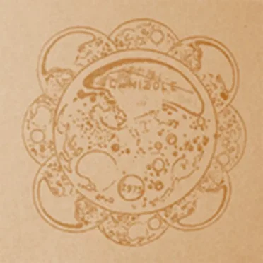 Camizole 1975 by Camizole - album cover