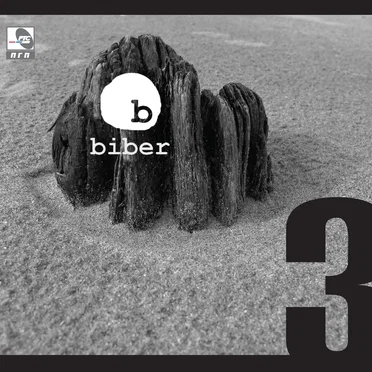 3 by Biber - album cover