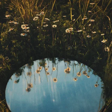 Reflections / Blossom