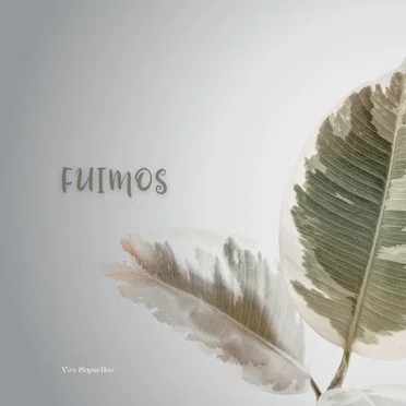 Fuimos