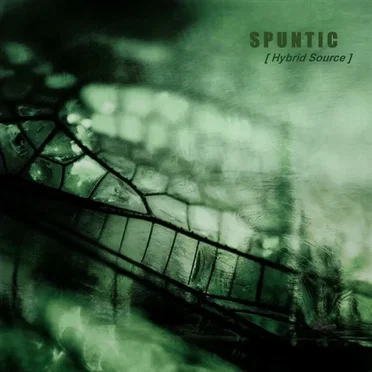 Hybrid Source by Spuntic - album cover