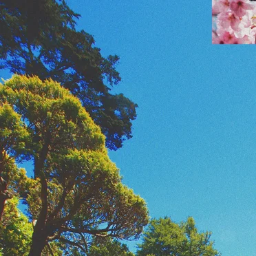little garden by Juca - album cover