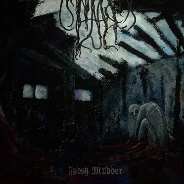 Jydsk Mudder by Hahn Kult - album cover