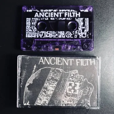 Everything in the Void by Ancient Filth - album cover