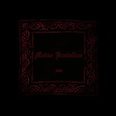 Meine Bratellos by CE$ - album cover