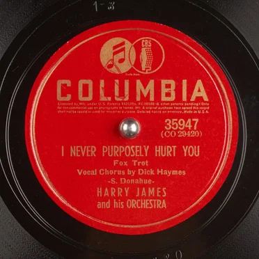 I Never Purposely Hurt You / Flatbush Flanagan