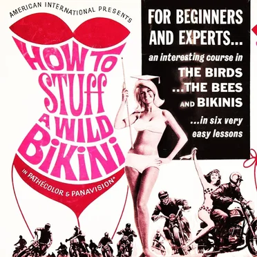 How to Stuff a Wild Bikini by Various Artists - album cover