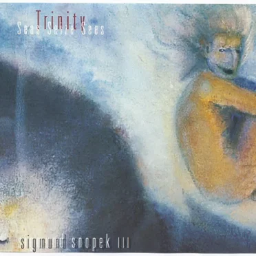 Trinity Seas Seize Sees by Sigmund Snopek III - album cover