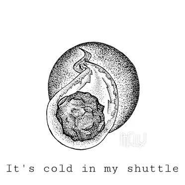 It's Cold in My Shuttle