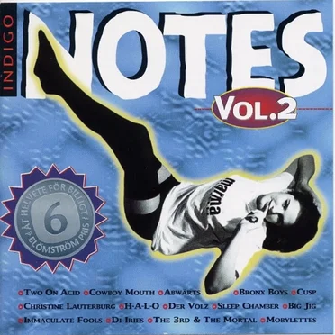 Indigo Notes, Volume 2 by Various Artists - album cover