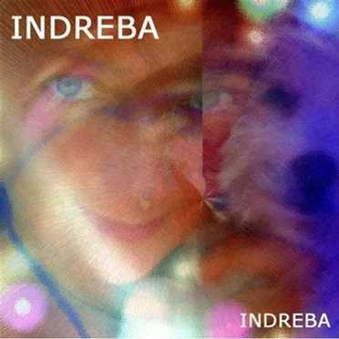 Cyber Boogie Blues by Indreba - album cover