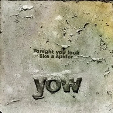 Tonight You Look Like A Spider by David Yow - album cover