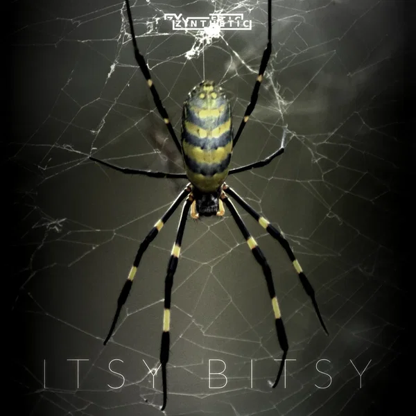 ITSY BITSY