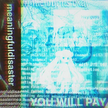 Meaningfuldisaster