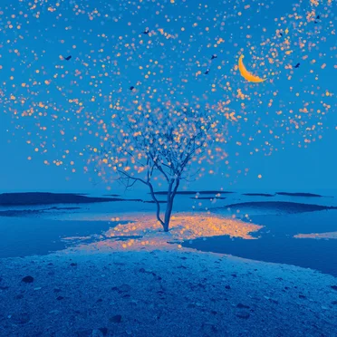 stories from the sea