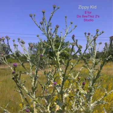 $ for Da 8eeTlez 2’s Studio