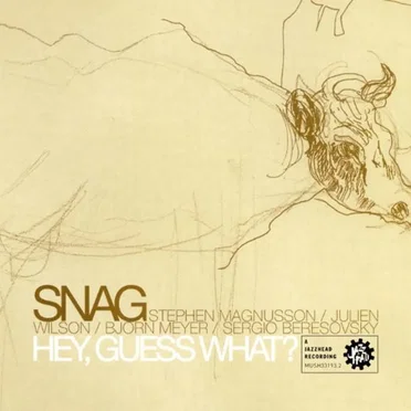 Hey, Guess What? by Snag - album cover
