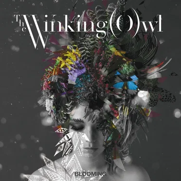 BLOOMING by The Winking Owl - album cover