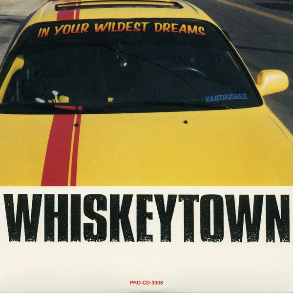 In Your Wildest Dreams