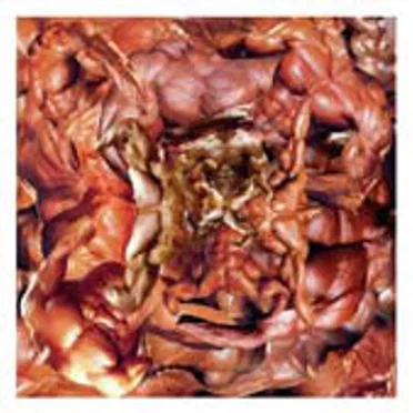 Live in the Police State Capitol