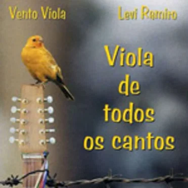 Viola de todos os cantos
