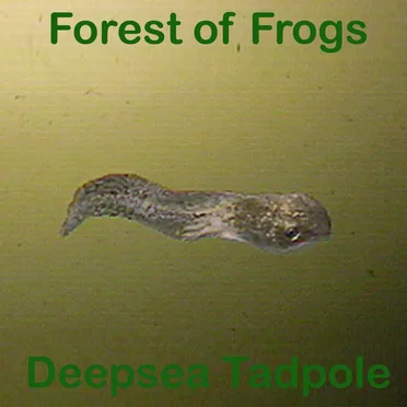 Deepsea Tadpole