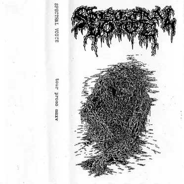 Tour Promo MMXV by Spectral Voice - album cover