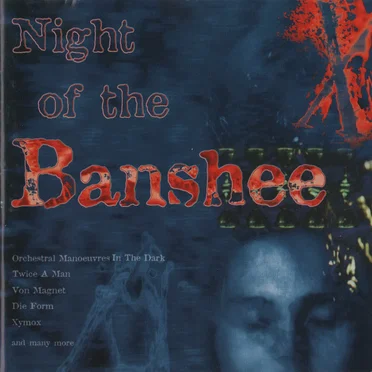 Night of the Banshee by Various Artists - album cover