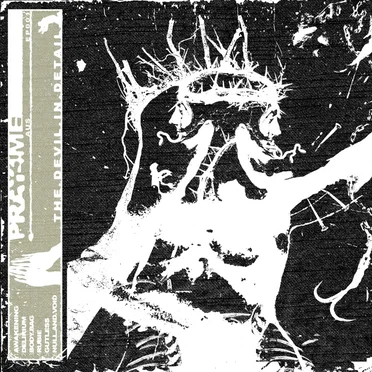 The devil in detail by PRAY4ME - album cover