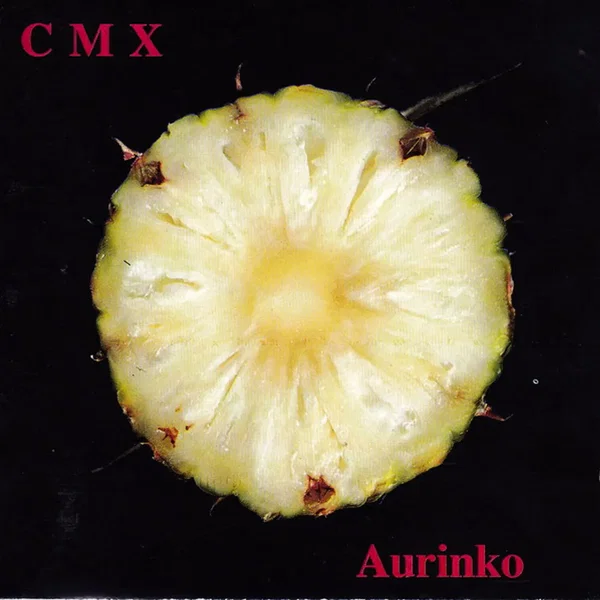 Aurinko