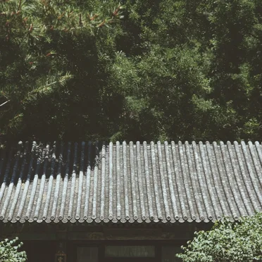 夏至(Summer Solstice)