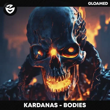 BODIES