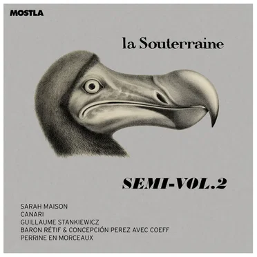 La Souterraine, Semi-Vol. 2 by Various Artists - album cover