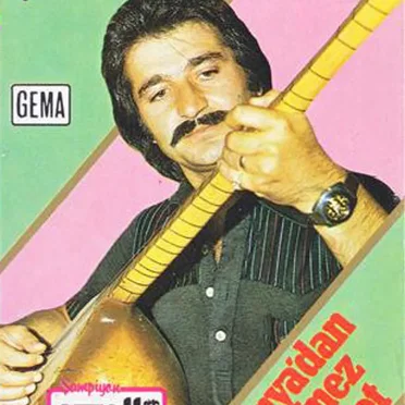 Almanya'dan Gitmez Bu Hasret by Aşık Emrah - album cover