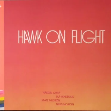 Hawk on Flight