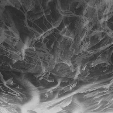 Elvene